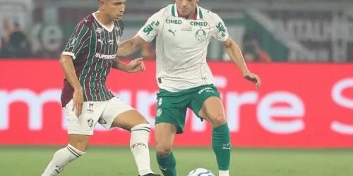 palmeiras e fluminense