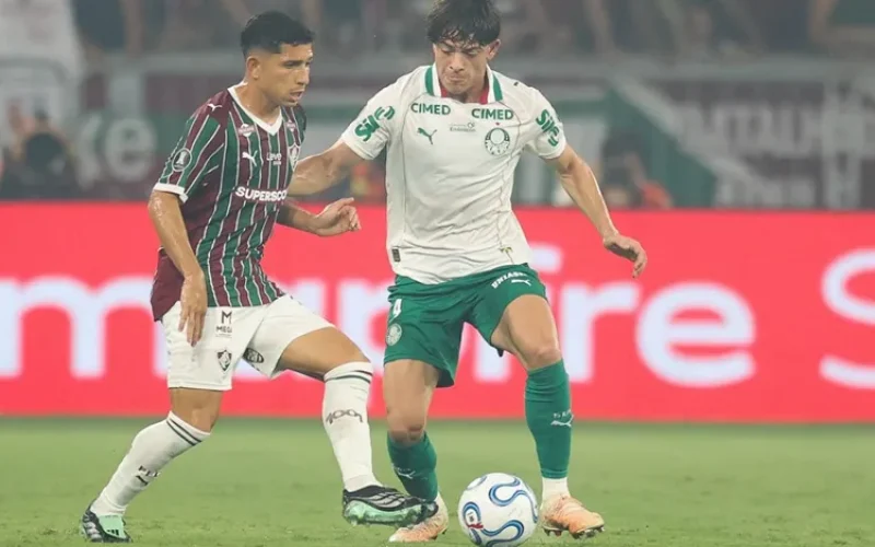 palmeiras e fluminense