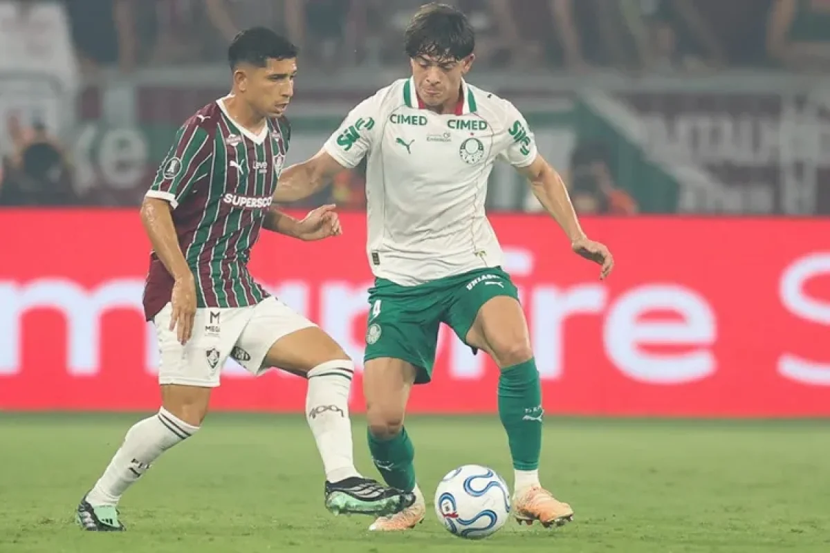 palmeiras e fluminense