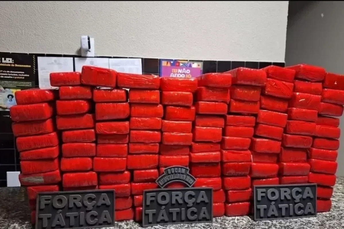 293-tabletes-de-maconha-avaliados-em-r-3-milhoes-sao-apreendidos-no-piaui-a6e2039f-9f93-44d4-b39b-e312c8b2b413.jpg