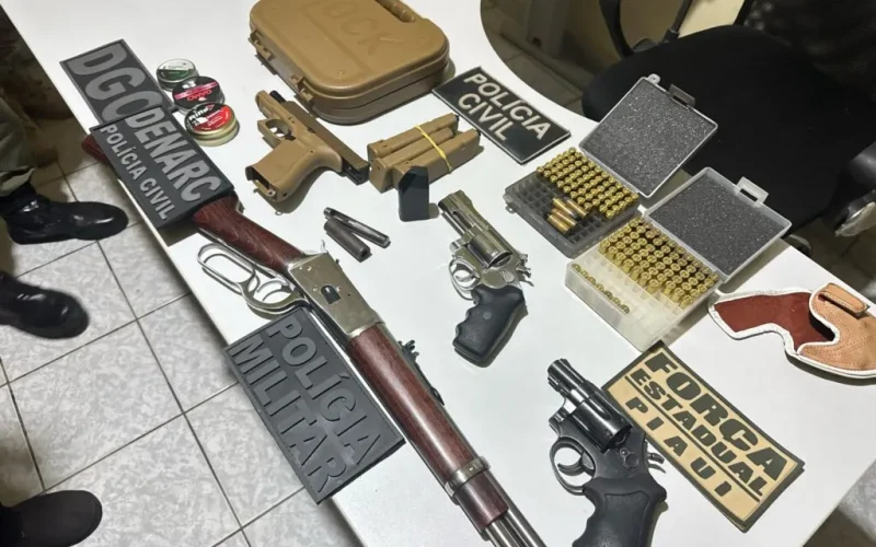 armas policia