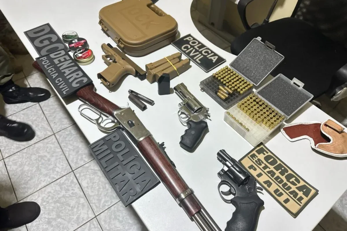 armas policia
