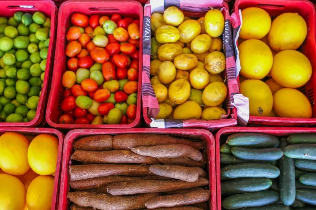 frutas legumes