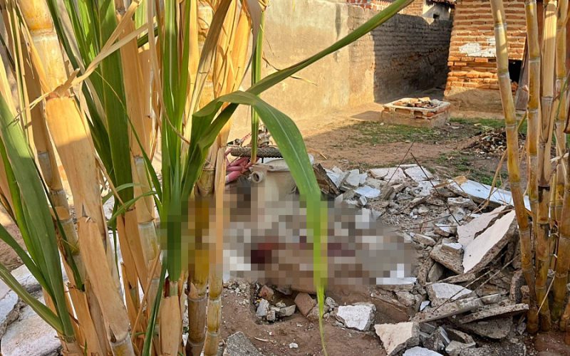 Banheiro-desaba-e-crianca-de-11-anos-morre-em-Belem-do-Piaui-WhatsApp-Image-2023-12-02-at-4.36.46-PM-1