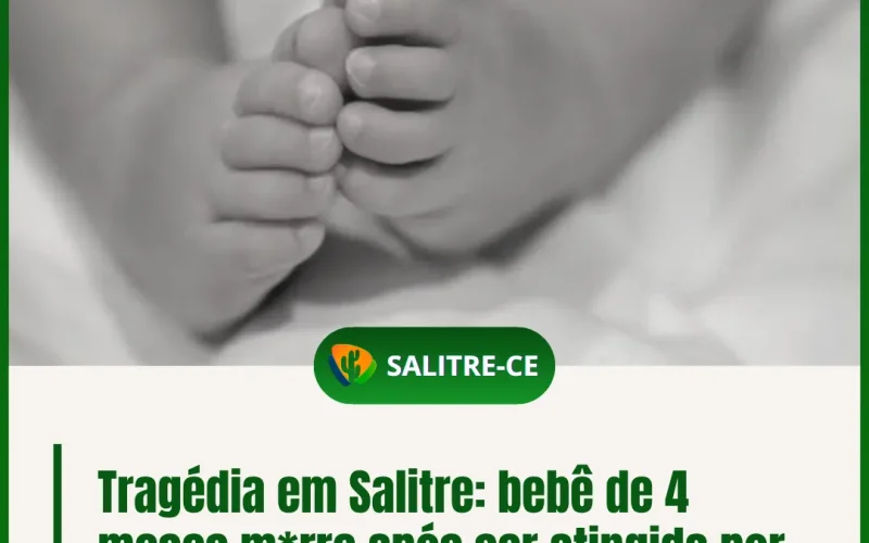 Cópia de Post01_20250731_080025_0000