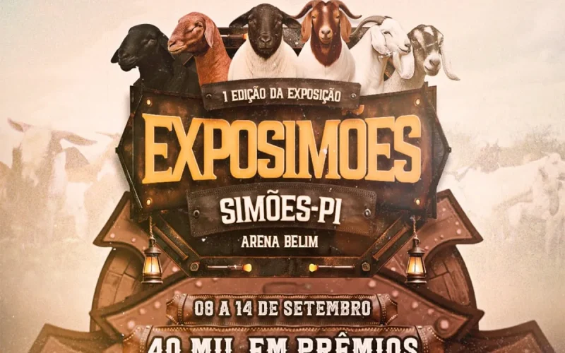 Imagem do WhatsApp de 2025-08-07 à(s) 18.12.50_3e695f1d