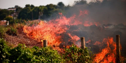 Incêndio_-terreno_-Cidade_Nova-em_Teresina_(4)