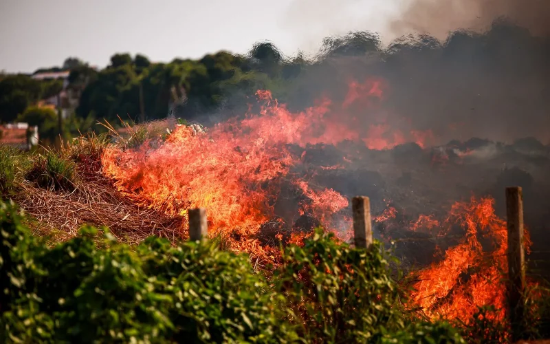 Incêndio_-terreno_-Cidade_Nova-em_Teresina_(4)