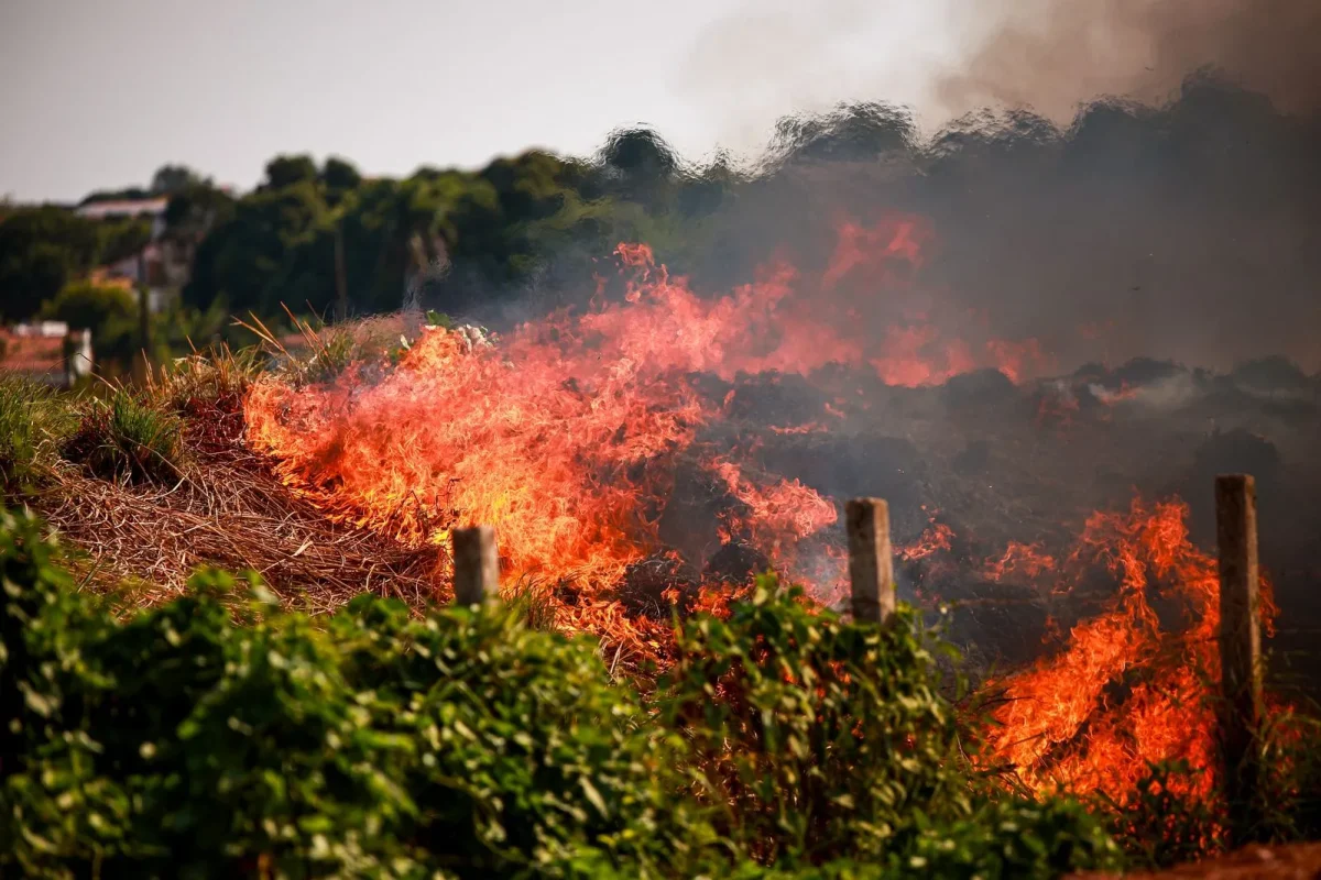 Incêndio_-terreno_-Cidade_Nova-em_Teresina_(4)