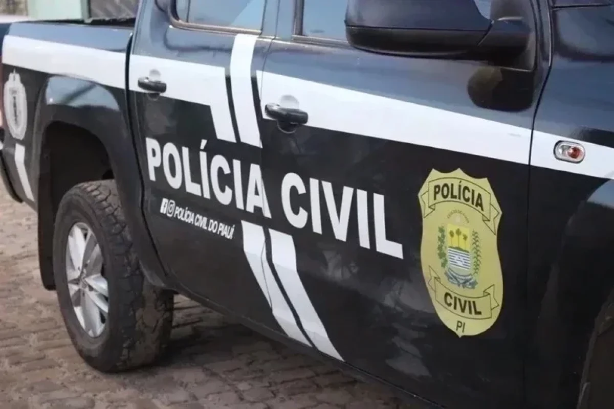 advogado-faturou-r-235-mil-com-fraude-em-emprestimos-no-piaui-diz-policia-e59e2979-1f6f-4d24-b9fc-38d503a52c19.jpg