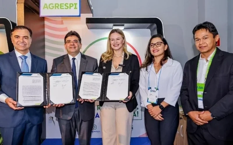 agrespi-vai-fiscalizar-concessao-de-energia-eletrica-apos-acordo-no-piaui-0432fa1c-d8bf-4ea7-aa6a-540a004ff3b7.jpg