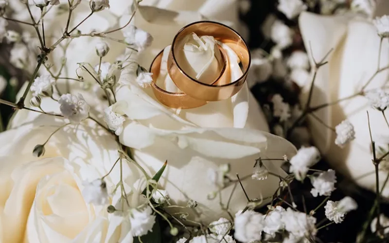 aliancas-casamento-freepik