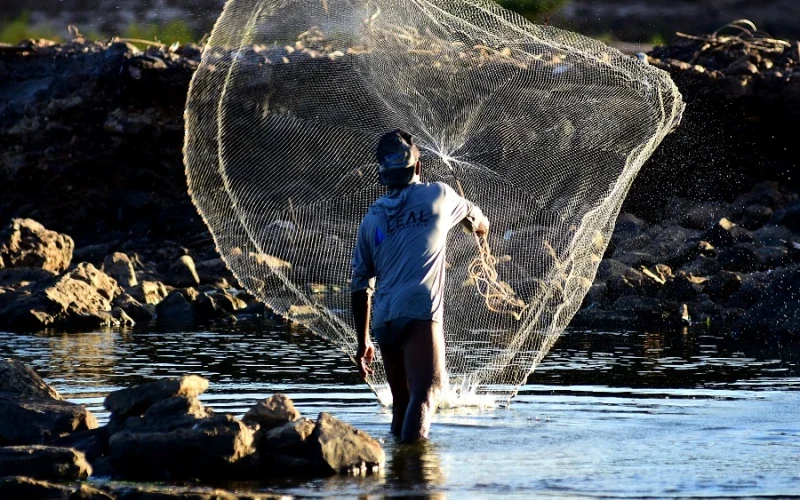pesca