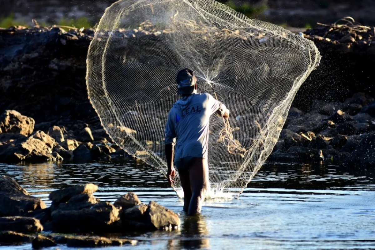 pesca
