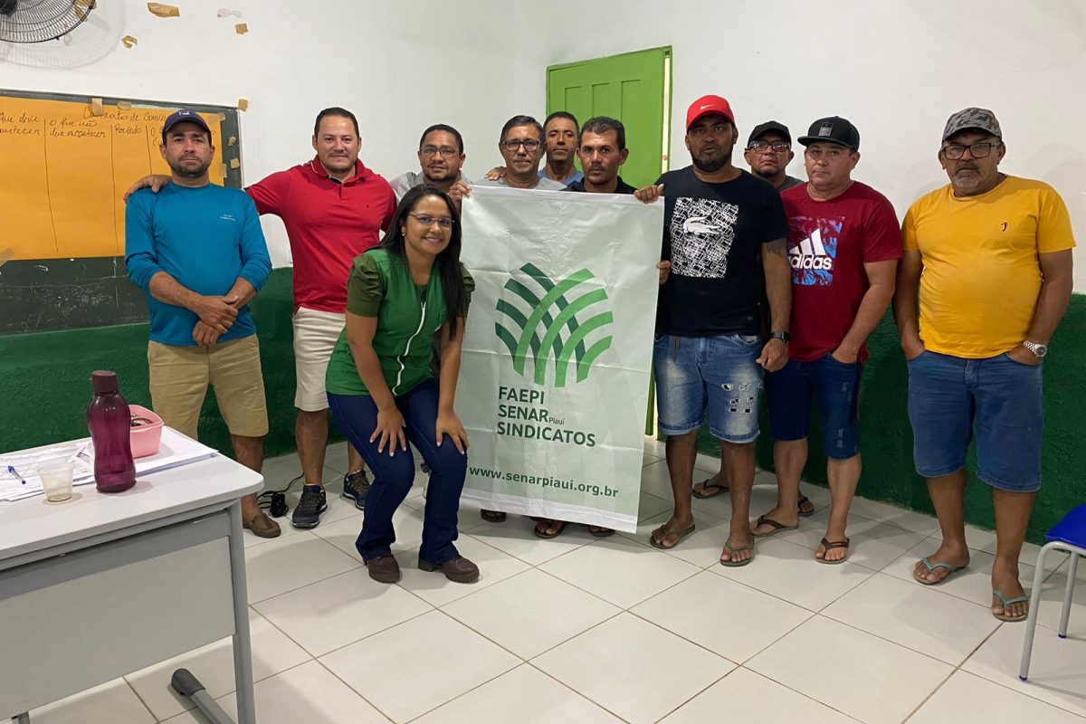 Curso tanque rede