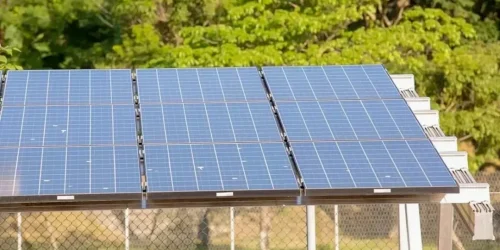 batch_piaui-tem-mais-de-74-mil-conexoes-de-energia-solar-em-221-municipios-d1ba3b45-138e-49c8-90e4-b03508955531.jpg
