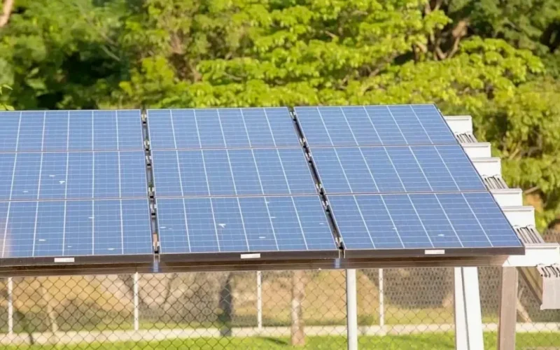 batch_piaui-tem-mais-de-74-mil-conexoes-de-energia-solar-em-221-municipios-d1ba3b45-138e-49c8-90e4-b03508955531.jpg