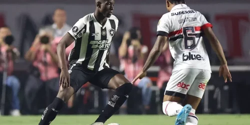 botafogo-empata-com-vitoria-e-perde-a-lideranca-do-brasileirao-ed58883a-50b1-431c-b0f6-ec8181036d02.jpg