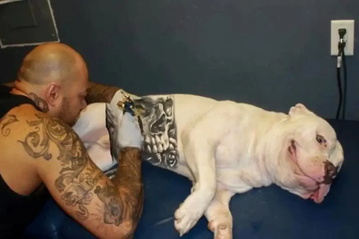 cachorro-tatuado02-1750865772