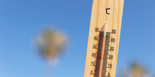 calor