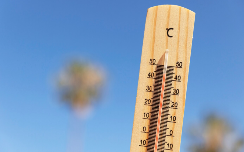 calor