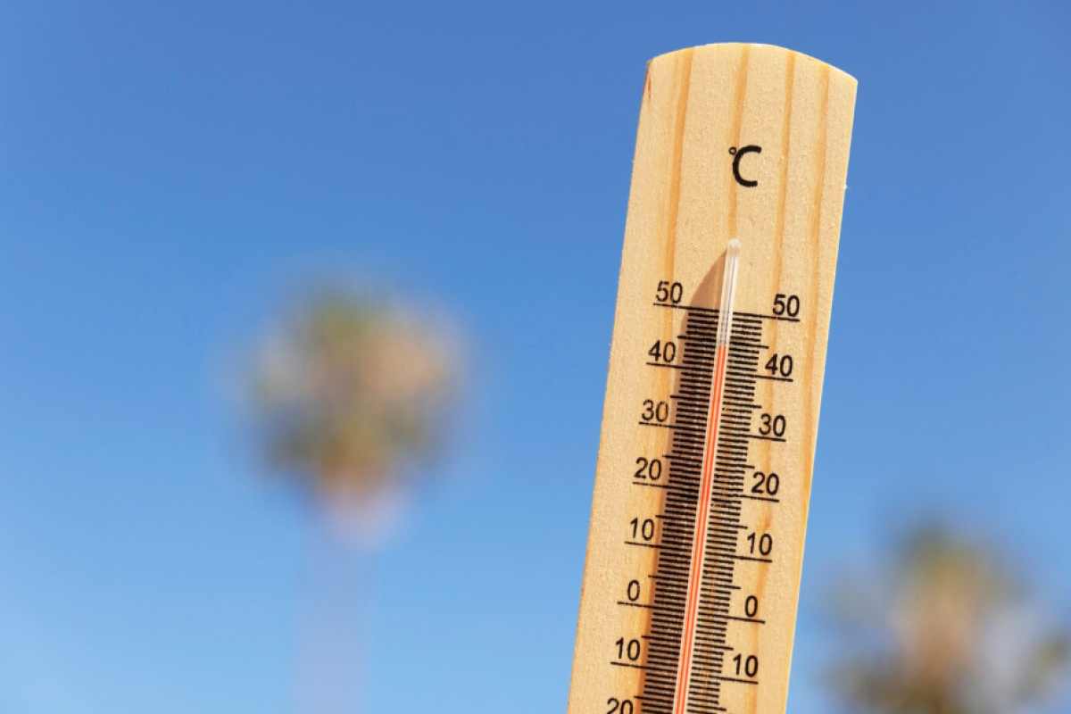 calor