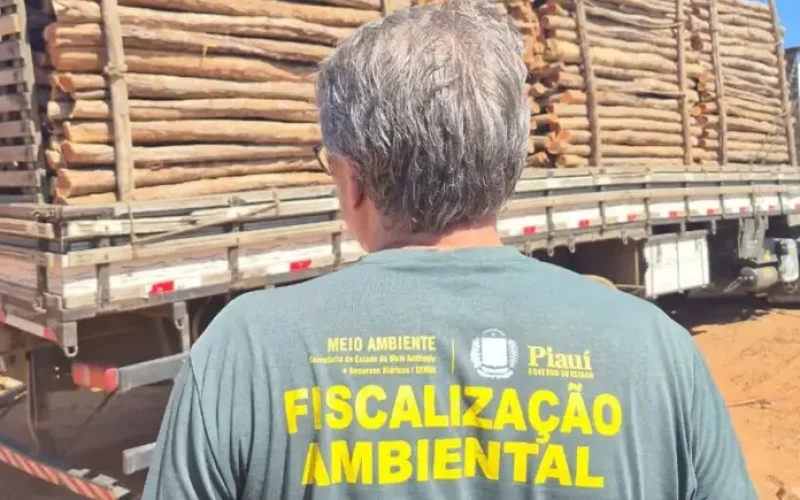 caminhao-com-carga-de-madeira-ilegal--6afbc59af7231c06