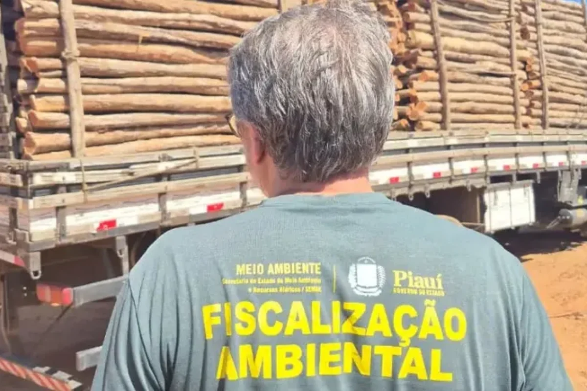 caminhao-com-carga-de-madeira-ilegal--6afbc59af7231c06