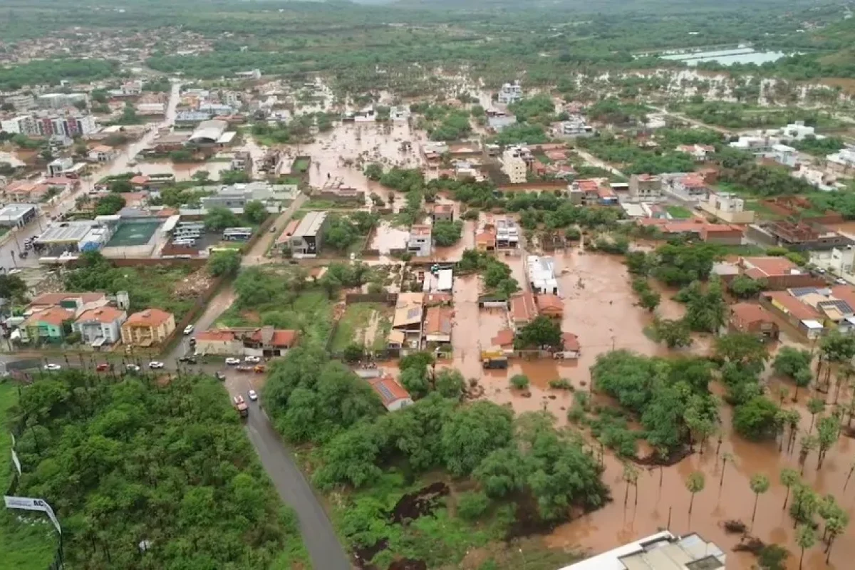 captura-de-tela-2025-01-14-130646