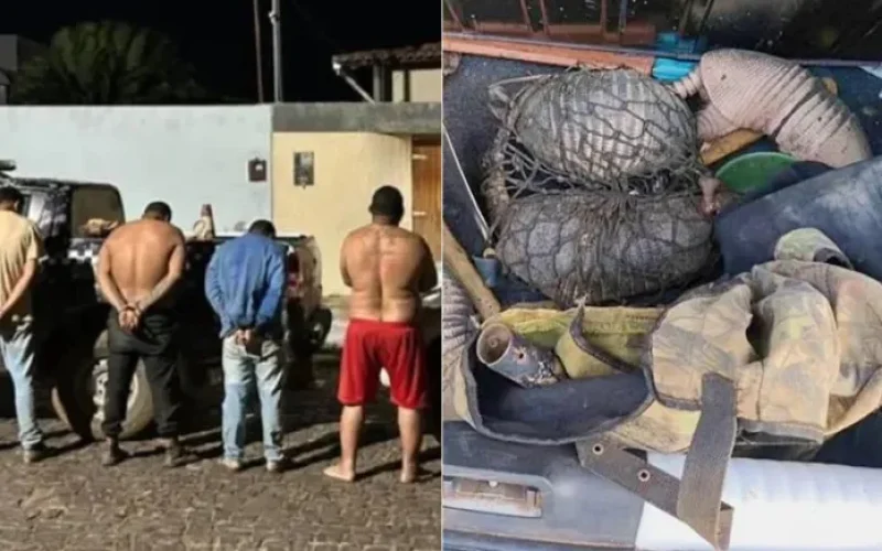 cinco-homens-sao-presos-com-tatus-e-caes-de-caca-durante-operacao-no-piaui--33a365ed7d4e75da