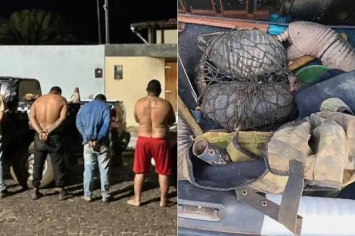 cinco-homens-sao-presos-com-tatus-e-caes-de-caca-durante-operacao-no-piaui--33a365ed7d4e75da