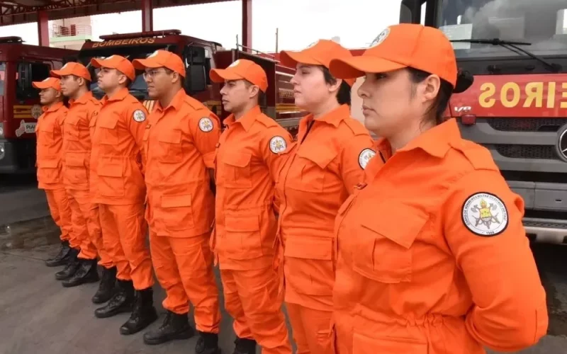corpo-de-bombeiros-atendeu-mais-de-4-mil-ocorrencias-no-piaui-em-2024-9a2db519-ef81-4324-b83c-d1443bed16b3.jpg