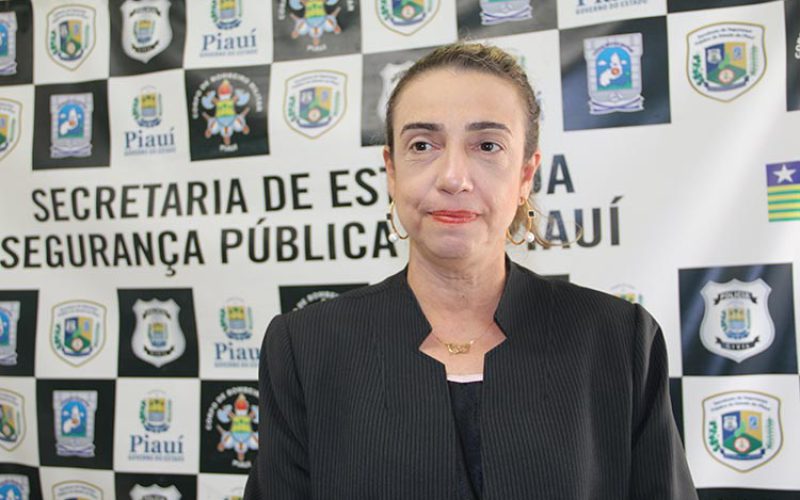 Governo do Piauí lançará licitação da Agespisa com lance mínimo de R$ 1  bilhão, Piauí