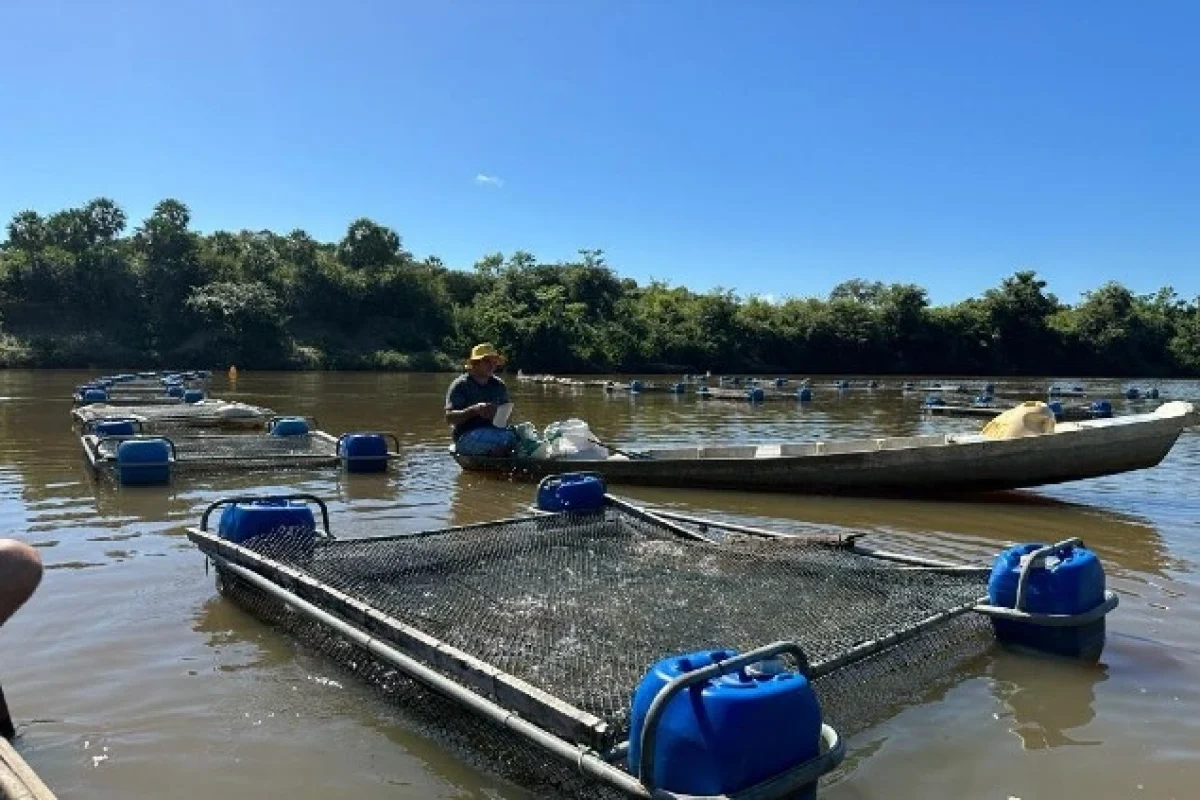 encontro-de-pesca-e-aquicultura-no-piaui-bate-recorde-de-ins.jpg.700x0_q95_crop