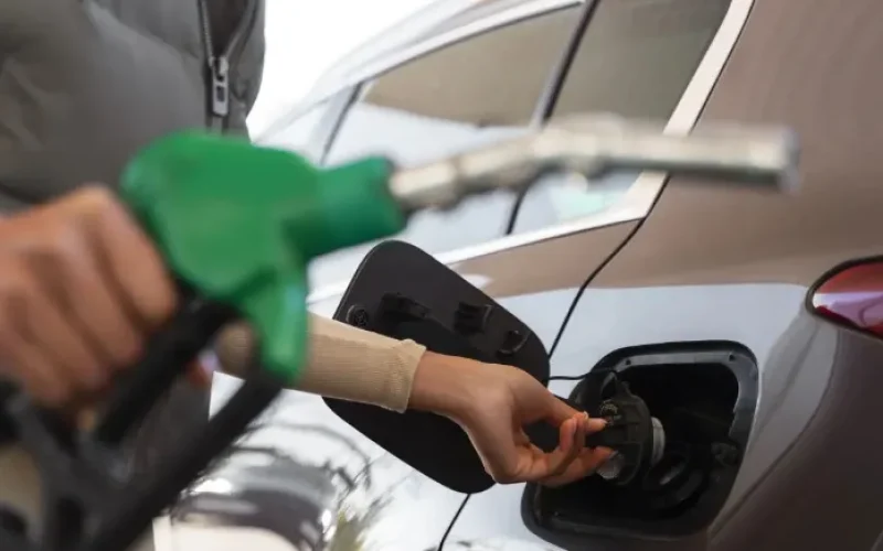 gasolina