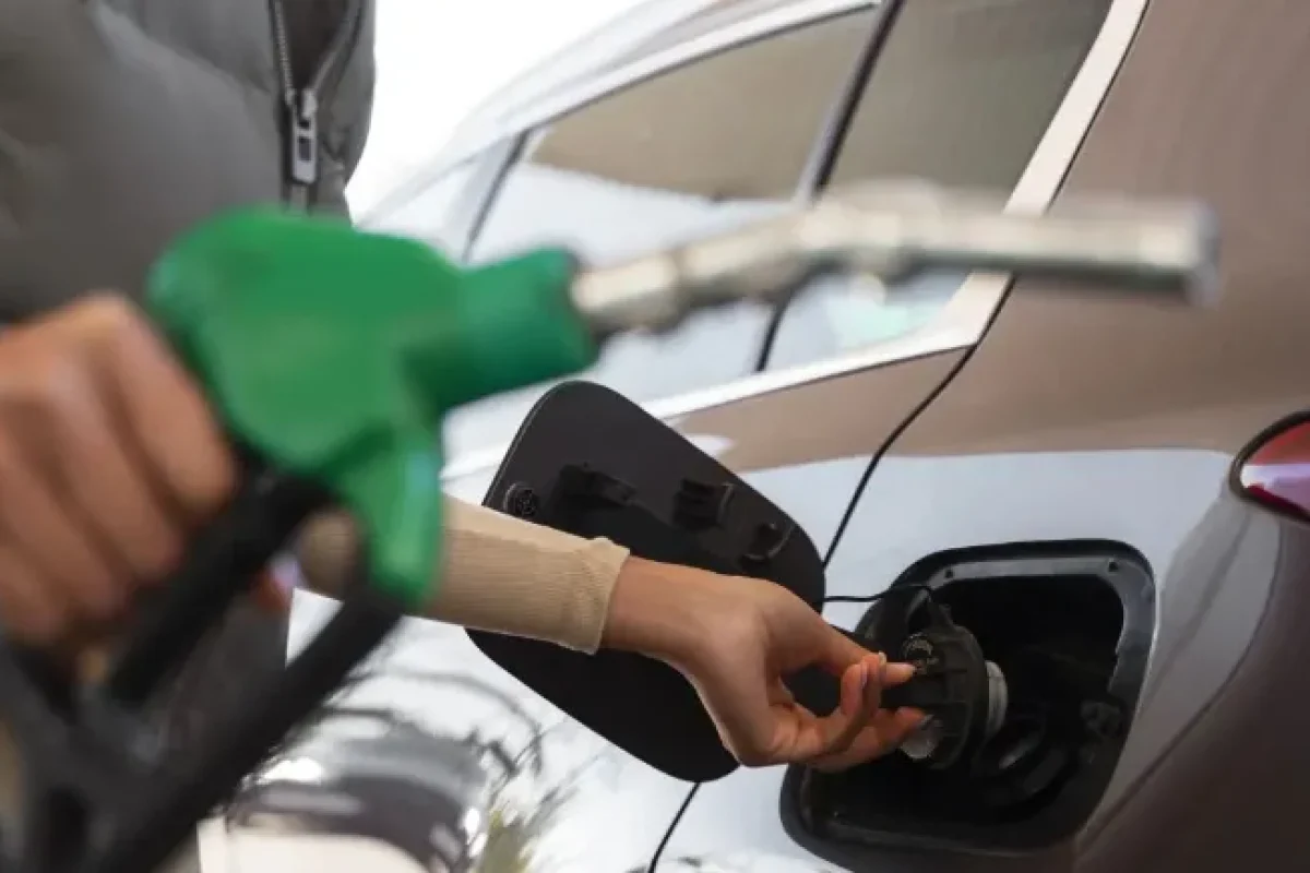 gasolina