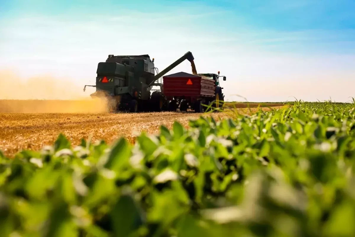 governo-federal-reune-ministros-e-empresarios-para-discutir-preco-dos-alimentos-25f9d004-2fd1-4741-90dd-0faac1a4f94a.jpg