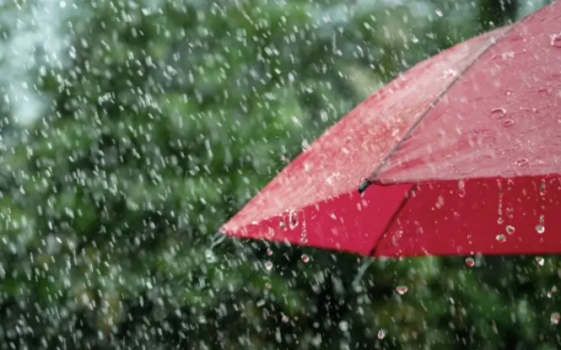 chuva