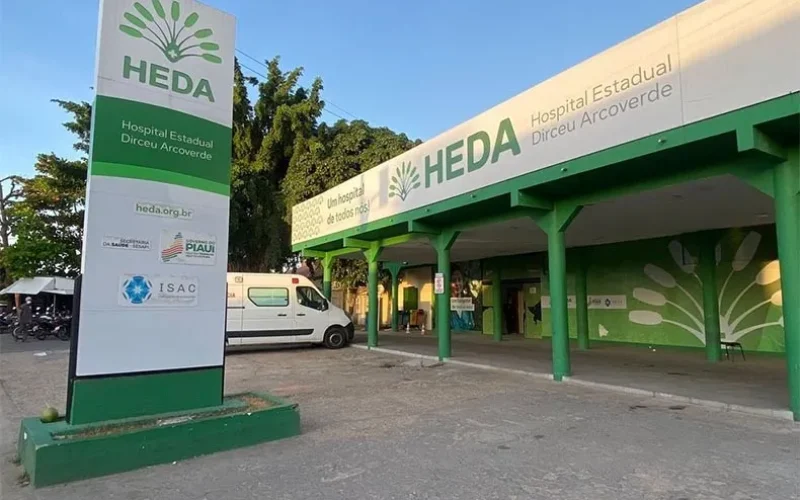 heda33
