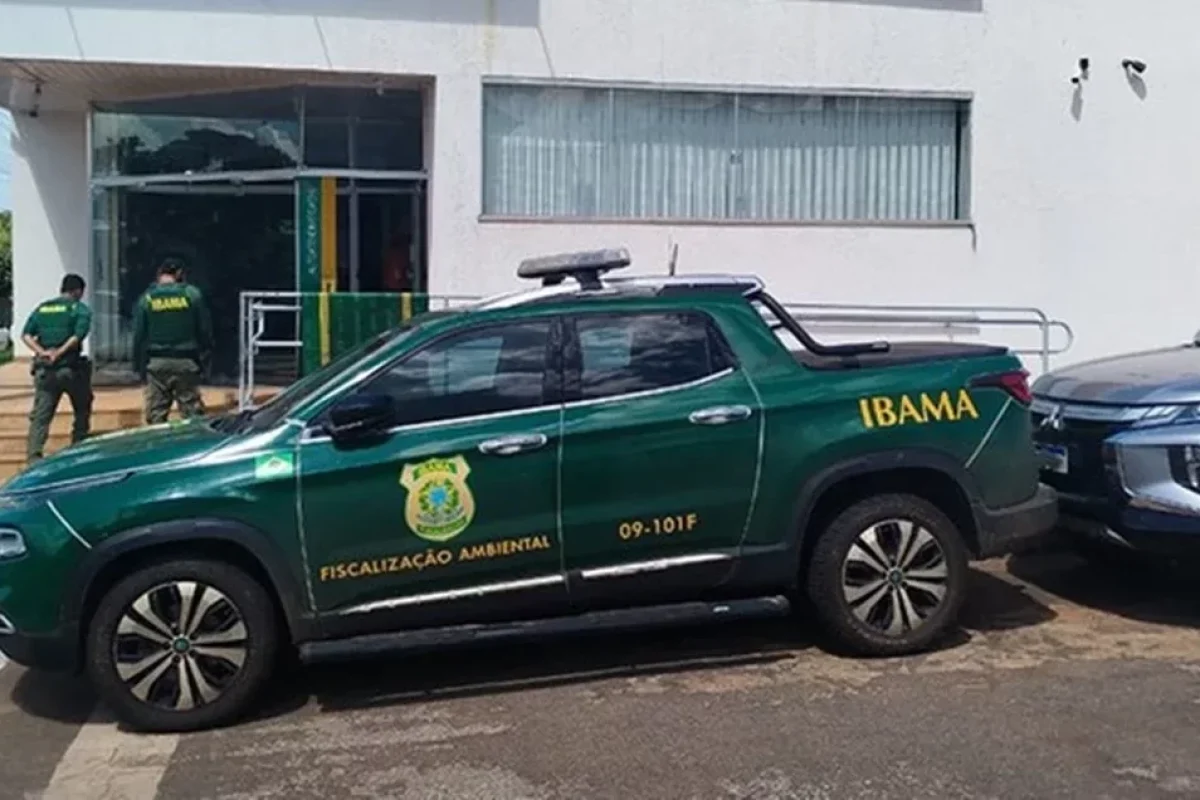 ibama-multa-bancos-por-financiar-areas-desmatadas-no-piaui-e-mais-dois-estados-6798ffd5-8f34-4dbc-8cb5-9d76335c557c.jpg