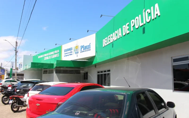 Central de Flagrantes de Teresina — Foto: Lucas Marreiros/g1