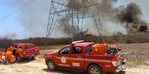 incendio-florestal-no-interior-do-piaui-mobiliza-equipe-do-corpo-de-bombeiros-aa0844e8-0c71-4c22-ad09-9ca659ab3091