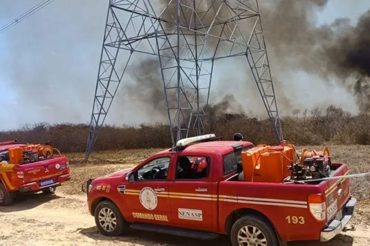 incendio-florestal-no-interior-do-piaui-mobiliza-equipe-do-corpo-de-bombeiros-aa0844e8-0c71-4c22-ad09-9ca659ab3091