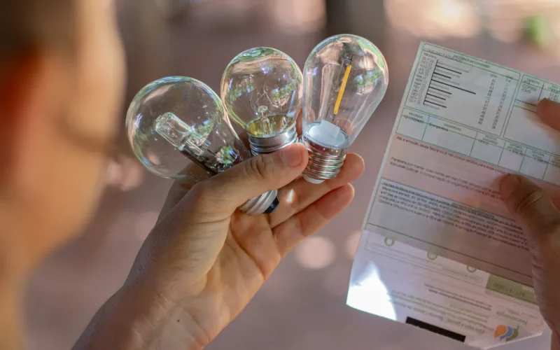 luz-energia-fdr-8-1760119534