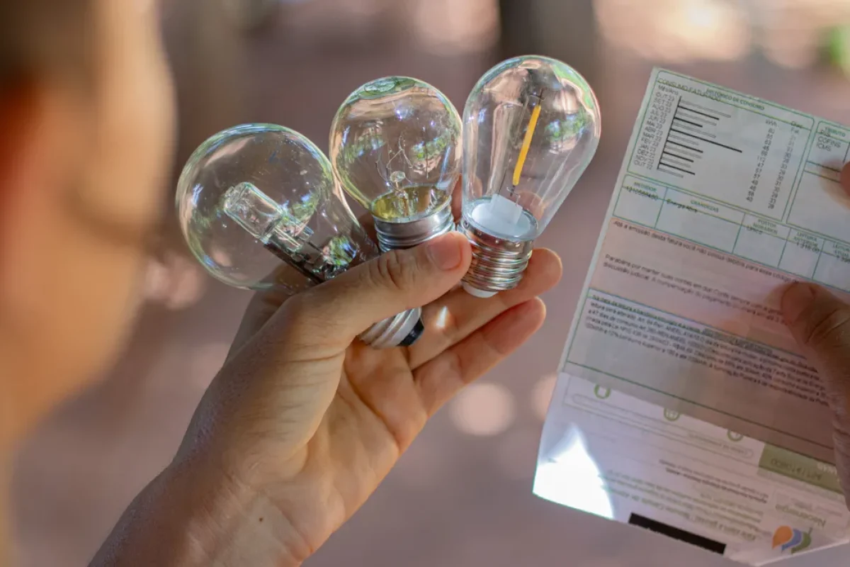 luz-energia-fdr-8-1760119534