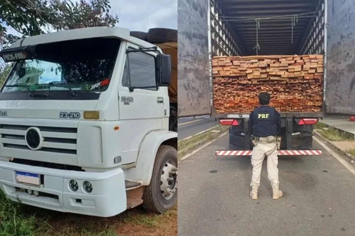mais-de-50-m-operacao-da-prf-resulta-em-apreensao-de-madeira-serrada-ilegal-no-piaui-a9d3f2fd-1e36-47d8-b663-b447cfbb8109.jpg
