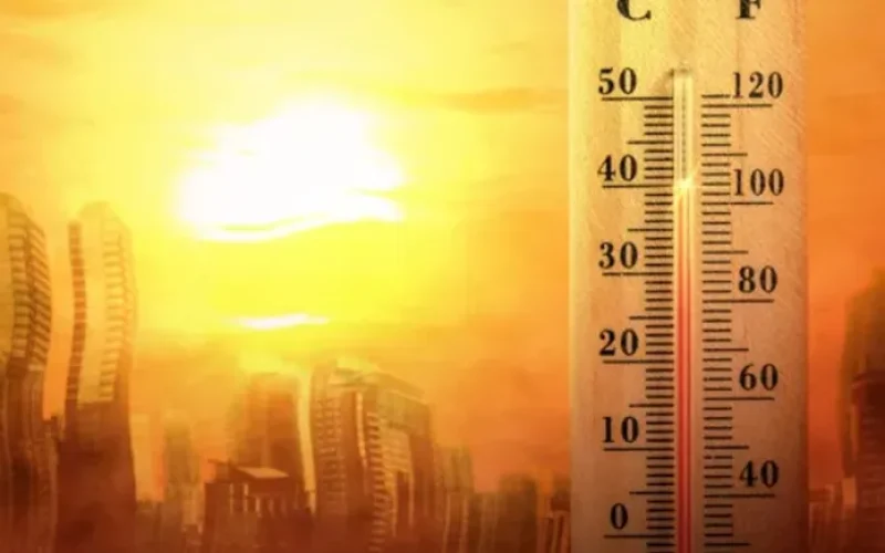 calor