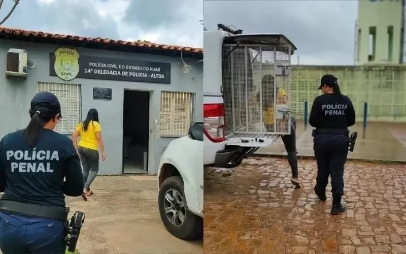 mulher-tenta-levar-drogas-em-orgaos-genitais-para-companheiro-em-cadeia-do-piaui-e-e-presa-a8db95fb-c9ac-42b7-9d99-28f31e27ab01.jpg