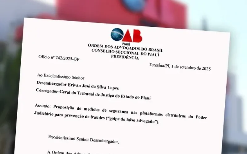 oab-pi-propoe-medidas-ao-tjpi-para-combater-o-golpe-do-fals.jpeg.700x0_q95_crop