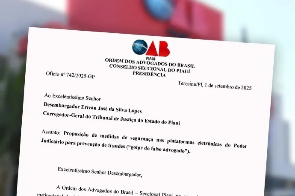 oab-pi-propoe-medidas-ao-tjpi-para-combater-o-golpe-do-fals.jpeg.700x0_q95_crop